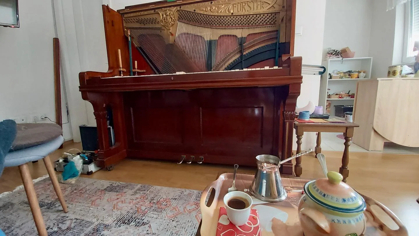 Stručna procjena klavira